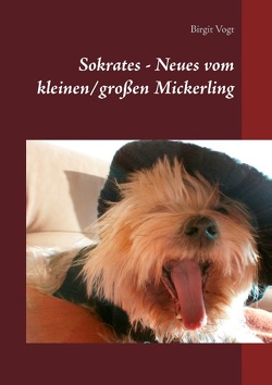 Sokrates – Neues vom kleinen/großen Mickerling von Vogt,  Birgit