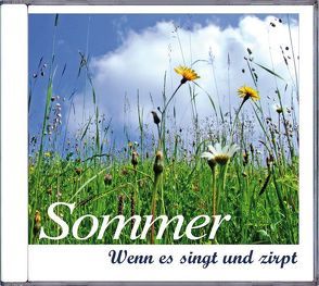 Sommer von Dingler,  Karl H, Dingler,  Markus