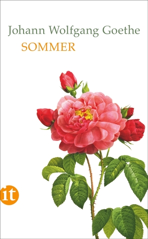 Sommer von Goethe,  Johann Wolfgang, Mayer,  Mathias