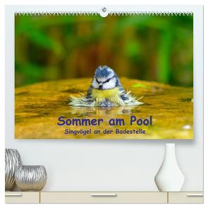 Sommer am Pool – Singvögel an der Badestelle (hochwertiger Premium Wandkalender 2024 DIN A2 quer), Kunstdruck in Hochglanz von Plemper,  Ulrich