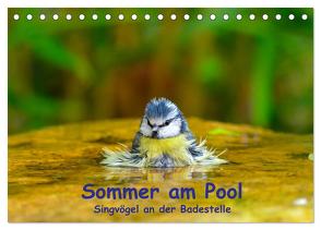 Sommer am Pool – Singvögel an der Badestelle (Tischkalender 2024 DIN A5 quer), CALVENDO Monatskalender von Plemper,  Ulrich