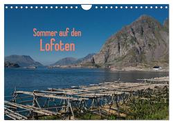 Sommer auf den Lofoten (Wandkalender 2024 DIN A4 quer), CALVENDO Monatskalender von Drees,  Andreas
