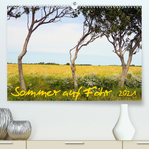 Sommer auf Föhr (Premium, hochwertiger DIN A2 Wandkalender 2021, Kunstdruck in Hochglanz) von Bergenthal,  Jürgen