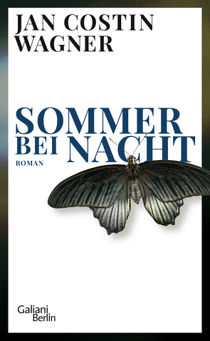 Sommer bei Nacht von Wagner,  Jan Costin