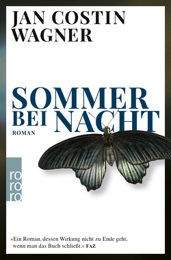 Sommer bei Nacht von Wagner,  Jan Costin