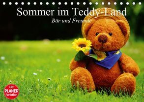 Sommer im Teddy-Land. Bär und Freunde (Tischkalender 2019 DIN A5 quer) von Stanzer,  Elisabeth