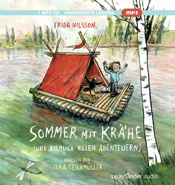Sommer mit Krähe (und ziemlich vielen Abenteuern) von Buchinger,  Friederike, Kuhl,  Anke, Nilsson,  Frida, Teichmüller,  Ilka