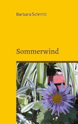 Sommerwind von Schmitt,  Barbara