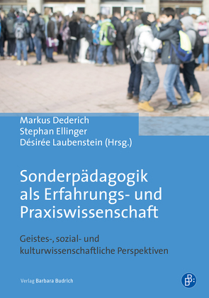 Sonderpädagogik als Erfahrungs- und Praxiswissenschaft von Dederich,  Markus, Ellinger,  Stephan, Laubenstein,  Désirée