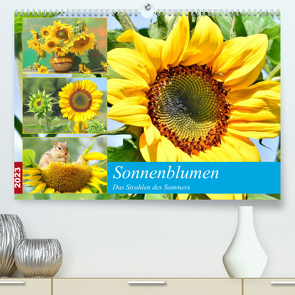 Sonnenblumen. Das Strahlen des Sommers (Premium, hochwertiger DIN A2 Wandkalender 2023, Kunstdruck in Hochglanz) von Hurley,  Rose