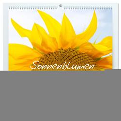 Sonnenblumen – die Blumen der Lebensfreude (hochwertiger Premium Wandkalender 2024 DIN A2 quer), Kunstdruck in Hochglanz von Ziehr,  Maria-Anna
