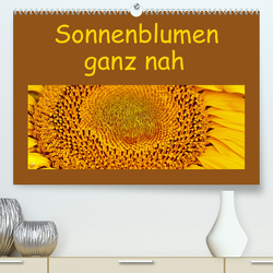 Sonnenblumen – ganz nah (Premium, hochwertiger DIN A2 Wandkalender 2023, Kunstdruck in Hochglanz) von Vorndran,  Hans-Georg