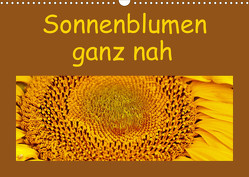 Sonnenblumen – ganz nah (Wandkalender 2023 DIN A3 quer) von Vorndran,  Hans-Georg