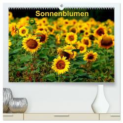 Sonnenblumen (hochwertiger Premium Wandkalender 2024 DIN A2 quer), Kunstdruck in Hochglanz von Schulz,  Dorothea