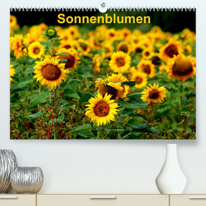 Sonnenblumen (Premium, hochwertiger DIN A2 Wandkalender 2023, Kunstdruck in Hochglanz) von Schulz,  Dorothea