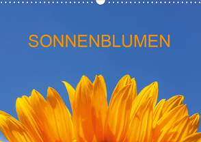 Sonnenblumen (Wandkalender 2021 DIN A3 quer) von Jaeger,  Thomas