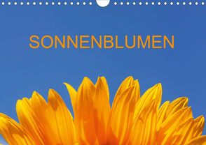 Sonnenblumen (Wandkalender 2021 DIN A4 quer) von Jaeger,  Thomas