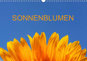 Sonnenblumen (Wandkalender 2022 DIN A3 quer) von Jaeger,  Thomas