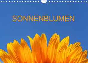 Sonnenblumen (Wandkalender 2022 DIN A4 quer) von Jaeger,  Thomas