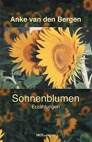 Sonnenblumen von van den Bergen,  Anke