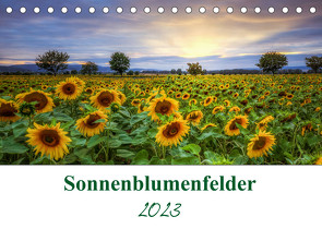 Sonnenblumenfelder (Tischkalender 2023 DIN A5 quer) von Artist Design,  Magic, Gierok,  Steffen