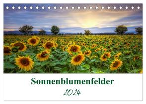 Sonnenblumenfelder (Tischkalender 2024 DIN A5 quer), CALVENDO Monatskalender von Gierok / Magic Artist Design,  Steffen