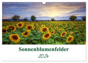 Sonnenblumenfelder (Wandkalender 2024 DIN A3 quer), CALVENDO Monatskalender von Gierok / Magic Artist Design,  Steffen