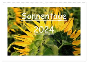 Sonnentage 2024 (Wandkalender 2024 DIN A2 quer), CALVENDO Monatskalender von Loß,  Heike