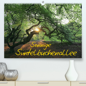 Sonnige Süntelbuchenallee (Premium, hochwertiger DIN A2 Wandkalender 2022, Kunstdruck in Hochglanz) von Loewa,  Bernhard