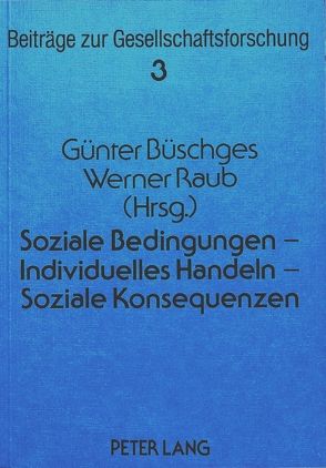 Soziale Bedingungen – Individuelles Handeln – Soziale Konsequenzen von Büschges,  Günter, Raub,  Werner