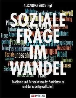 Soziale Frage im Wandel von Doerre,  Klaus, Fritsch,  Clara, Grüner,  Peter, Kern,  Anton, Kessl,  Fabian, Moser,  Michaela, Ofner,  Hans, Stelzer-Orthofer,  Christine, Trummer,  Sabine, Weiss,  Alexandra