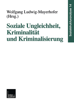Soziale Ungleichheit, Kriminalität und Kriminalisierung von Ludwig-Mayerhofer,  Wolfgang
