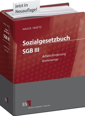 Sozialgesetzbuch (SGB) – Gesamtkommentar / Sozialgesetzbuch (SGB) II: Grundsicherung für Arbeitsuchende – Abonnement von Clauß,  Felix, Fügemann,  Malte W., Hauck,  Karl, Hengelhaupt,  Dietrich, Jork,  Sven-Helge, Krauß,  Karen, Luthe,  Ernst-Wilhelm, Müller,  Imme Caroline, Noftz,  Wolfgang, Valgolio,  Leandro, Voelzke,  Thomas