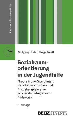 Sozialraumorientierung in der Jugendhilfe von Hinte,  Wolfgang, Treeß,  Helga