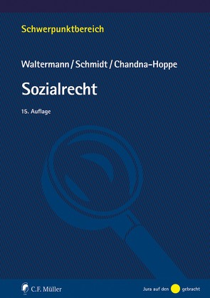 Sozialrecht von Chandna-Hoppe,  Waltermann Schmidt, Waltermann,  Raimund