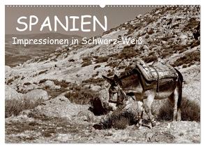 Spanien Impressionen in Schwarz-Weiß (Wandkalender 2024 DIN A2 quer), CALVENDO Monatskalender von Trapp,  Benny