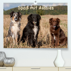 Spaß mit Aussies (Premium, hochwertiger DIN A2 Wandkalender 2023, Kunstdruck in Hochglanz) von Münzel-Hashish - www.tierphotografie.com,  Angela