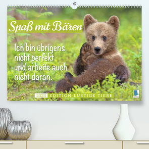 Spaß mit Bären: Edition lustige Tiere (Premium, hochwertiger DIN A2 Wandkalender 2023, Kunstdruck in Hochglanz) von CALVENDO