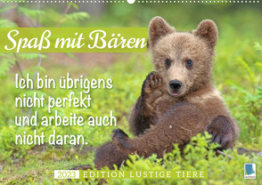 Spaß mit Bären: Edition lustige Tiere (Wandkalender 2023 DIN A2 quer) von CALVENDO