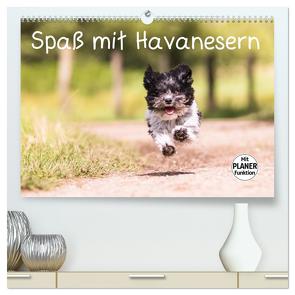 Spaß mit Havanesern (hochwertiger Premium Wandkalender 2024 DIN A2 quer), Kunstdruck in Hochglanz von Teßen,  Sonja