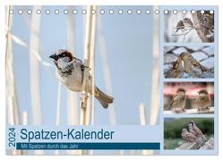 Spatzen-Kalender (Tischkalender 2024 DIN A5 quer), CALVENDO Monatskalender von Drews,  Marianne