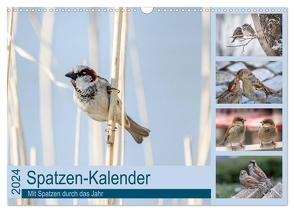 Spatzen-Kalender (Wandkalender 2024 DIN A3 quer), CALVENDO Monatskalender von Drews,  Marianne