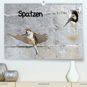 Spatzen (Premium, hochwertiger DIN A2 Wandkalender 2020, Kunstdruck in Hochglanz) von Trapp,  Benny