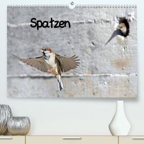 Spatzen (Premium, hochwertiger DIN A2 Wandkalender 2023, Kunstdruck in Hochglanz) von Trapp,  Benny
