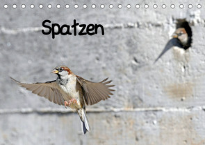 Spatzen (Tischkalender 2022 DIN A5 quer) von Trapp,  Benny