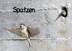 Spatzen (Tischkalender 2023 DIN A5 quer) von Trapp,  Benny