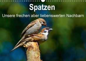 Spatzen, unsere frechen aber liebenswerte Nachbarn (Wandkalender 2018 DIN A3 quer) von Klapp,  Lutz