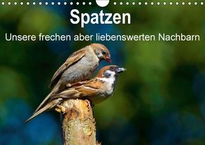 Spatzen, unsere frechen aber liebenswerte Nachbarn (Wandkalender 2018 DIN A4 quer) von Klapp,  Lutz