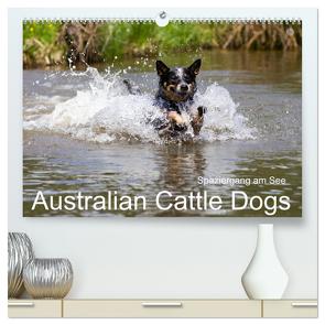 Spaziergang am See Australian Cattle Dogs (hochwertiger Premium Wandkalender 2024 DIN A2 quer), Kunstdruck in Hochglanz von Verena Scholze,  Fotodesign