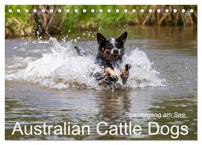 Spaziergang am See Australian Cattle Dogs (Tischkalender 2024 DIN A5 quer), CALVENDO Monatskalender von Verena Scholze,  Fotodesign